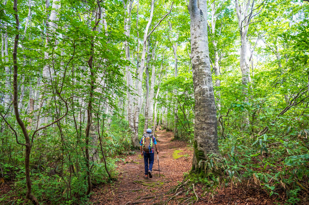 The Shin-etsu Trail | Go! NAGANO Official Travel Guide of